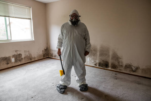 Home Mold Removal in Cocoa West, FL